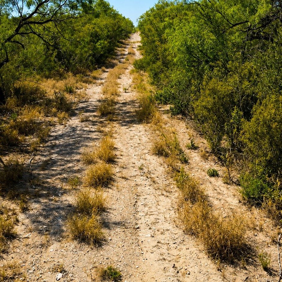 Cuates Ranch — photo 4
