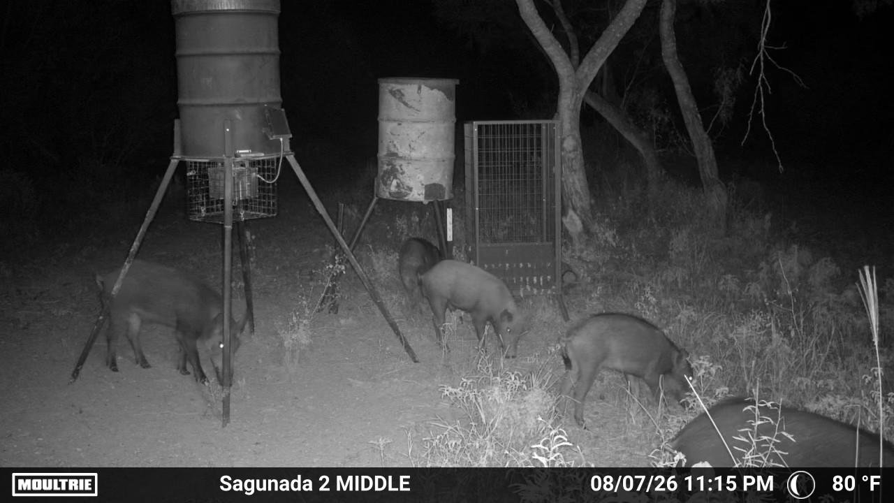 Cuates Ranch — photo 7